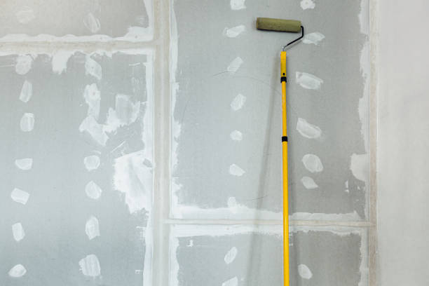 Mold Remediation for Vacation Homes in Olathe, CO