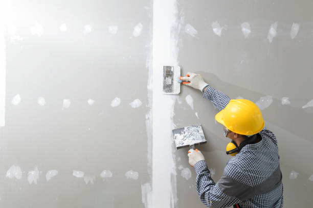 Best Mold Prevention Services  in Olathe, CO