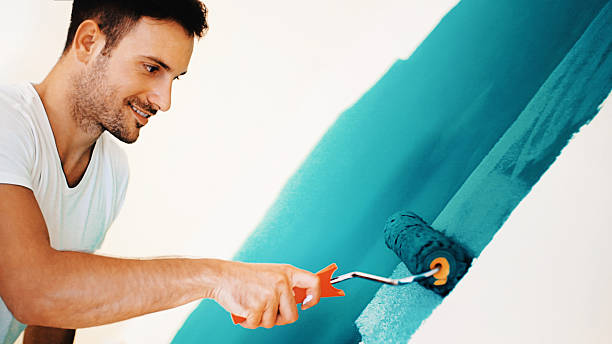 Best Black Mold Removal  in Olathe, CO